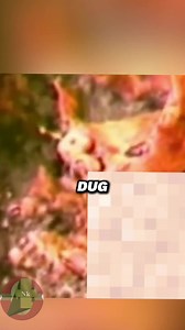 Ancient_Humans_Found_In_Florida #discoverearth #discovery #mys #knowledge #facts #Hunting #antique #ancient #treasure #mystery | Passang Lama