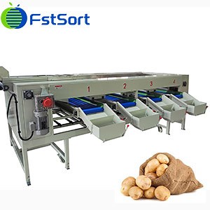 [Hot Item] Potato Grader Potato Sizer Potato Sorter Potato Classifier Potato Grading Machine Potato Picking Table Potato Grading Equipment