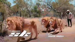 Mthandeni SK Sigade umzila 🔥😭🇿🇦🙏 Aw kodwa mzala wasucula kangaka kwenzenjani 😭 mabhinca uyacula lomuntu aw kodwa Mthandeni 🔥🔥🇿🇦🙏 | Hlonphani Mbatha