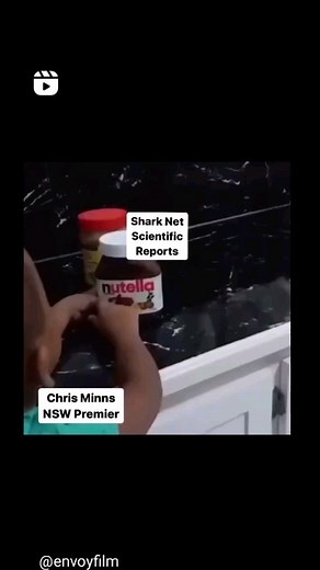 29 reactions | Shark nets in NSW are only 150 meters long, they don't...