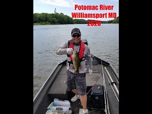 Potomac River Fishing Williamsport MD 2020