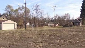Detroit neighbors transform vacant lots into urban bee farms, green spaces