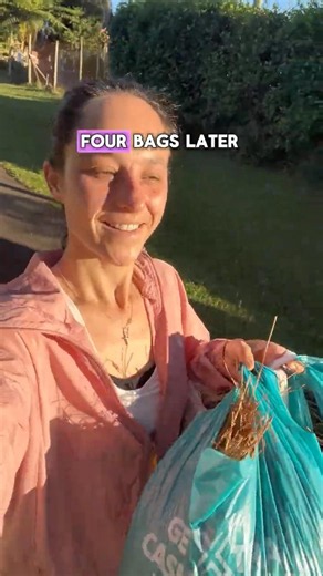 How I Make FREE Mulch for My Garden Beds👩🏻‍🌾 #gardening #plants