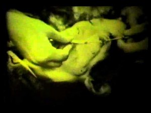 The Last Epidemic.wmv