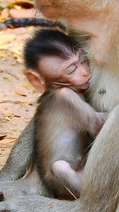 198K views · 2K reactions | 24hour on Reels | Facebook