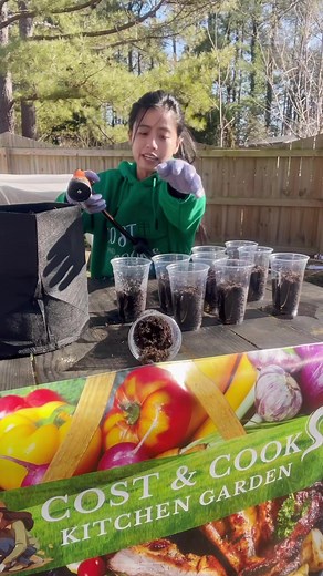 1.3K views · 55 reactions | Today, I’m starting some malunggay seeds in milktea or boba cups. I have never in my life planted malunggay and never have I thought I’d be planting one, let alone planting it in the US but here I am. I can only hope that in 3 weeks, some tiny green sprouts will emerge from our seeds. Don’t forget to follow Cost and Cooks for more moringa updates. #malunggay #moringa #seeds #seedstarting #costandcooksgarden #northcarolina | Cost and Cooks Channel | Facebook