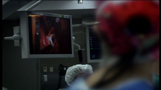 The human heart