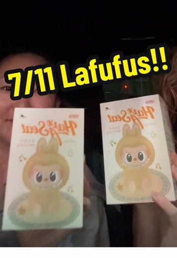 Spinster Cat Lady on TikTok