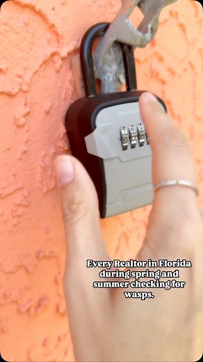 Bees? Sure!! Wasps?? ABSOLUTELY NOT 💯 #remax #realtor #florida #floridaspring #floridasummer #summer #beschlife | Dajana Vladicic Realtor - Compass FL