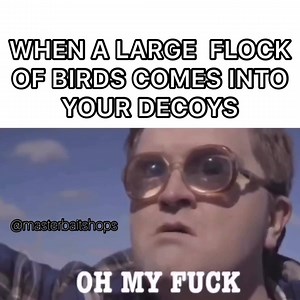 Master Bait Shops Hunting on Reels