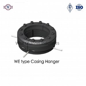 [Hot Item] API 6A We Type Casing Hanger