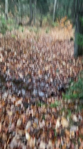 Let’s take a walk with Joseph Bryan Nelson | Northeast Prospector