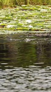 Save 30% on 10,000 Fish lures with a Karl's Club Membership. Start a free trial today! | Karl's Fishing & Outdoors