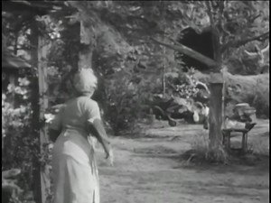 Lil Abner 1940 : Free Download, Borrow, and Streaming : Internet Archive