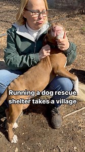 It’s Volunteer Appreciation Week! Shultz’s Guest House is fully run on volunteers who dedicate their time every day to clean kennels, pick up poop, feed, bathe, socialize, walk and spend time cuddling dogs who have come from a very rough start. We’re so fortunate to have nearly 200 volunteers who are always ready to get dirty, transport dogs to events, and go above and beyond to provide all of our rescues with a comforting passageway before finding their forever homes. We literally could not do 