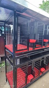 Steel cage cock cage 10 door heavy duty By Michael modern cage | Michael Modern Cage