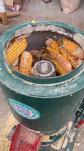 13K views · 142 reactions | Upgrade your feed plant with our efficient animal feed pellet machine, built for clean, uniform, and durable pellets. Whatsapp: wa.me/+8615866689729 #feedpelletmachine #feedpelletmill #pelletmillforanimalfeed #animalfeedpelletmachine #agricultureequipment #machine | Pellet Machine Manufacturer | Facebook