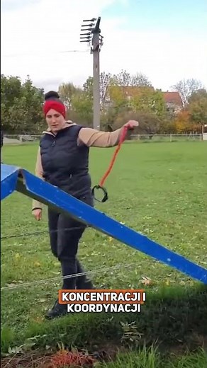 Hobby dogging nowym hitem w niemczech? 😱