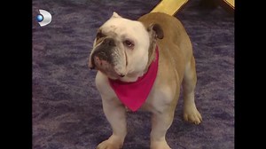 10K views · 357 reactions | Eda Hamile! - Sihirli Annem 51. Bölüm | Sihirli Annem | Facebook