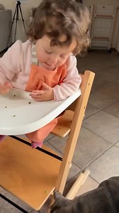 106K views · 6.8K reactions | Sophie gli da i suoi avanzi 浪ma la delicatezza di mino ?!殺 #dog #reels #foryou #MASSIeMINO #2025 #puppy #viral #cutedog #fyp #bullyuk #americanbully #fundog #bully #doggo #fypage #baby #funny #fypシ #babygirl #doglovers | G00D View | Facebook