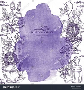 Watercolor Background Passiflora Incarnata Passiflora Flowers Stock Vector (Royalty Free) 2293098665 | Shutterstock