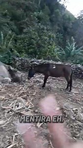 12K views · 401 reactions |  #Sierra #nevada #santamarta #colombia | Tradiciones indigenas | Facebook