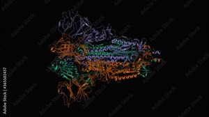 Structure of the SARS-CoV-2 spike glycoprotein homotrimer, dynamic 3D cartoon model, black background
