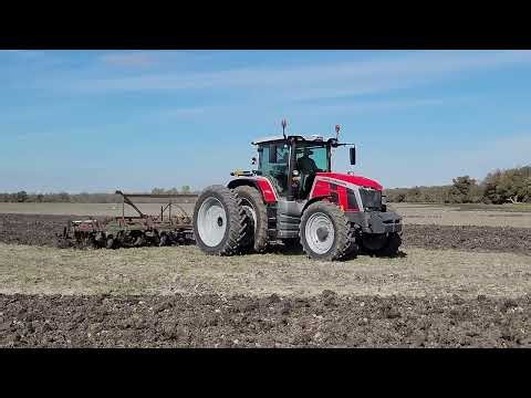 Massey Ferguson 8S.305