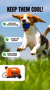 Keep your canine companion cool, clean and hydrated on every adventure with Mud Daddy - the award-winning, multi-purpose portable washer you can use year-round! 💦 Easy, portable cooldown solution for hot weather 🏖️ Ideal for washing sandy paws, shoes & beach gear 🌱 Eco-friendly, electricity-free 🐶 Silent pump action Order yours today. | Mud Daddy