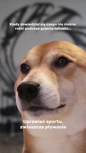 Panda Tattoo on Reels