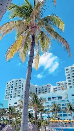 13K views · 291 reactions | Long weekends are better in Paradise! ☀️ #margaritaville #destinationparadise #hollywoodflorida #hollywoodbeach #beachviews #morningviews #sun #visitflorida #beach #southflorida #mhbr #travelgram #memorialdayweekend #memorialday #holidayweekend | Margaritaville Hollywood Beach Resort | Facebook