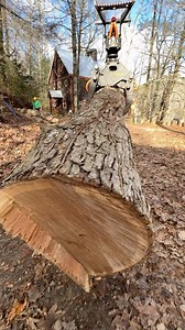  Tree Service project in  Dahlonega, GA . Call us for a free estimate ☎️(678) 457-3487 ☎️(678) 677-9102 . . . #trees #treeremoval #treework #arborist #tree #stihl #stumpgrinding #treecare #landscaping #treetrimming | Jireh Tree Services & Landscaping | Facebook