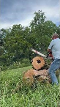 MS660 cold start and cut on seasoned yellow locust.