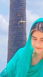 13K views · 727 reactions | Main Mati ka gudda ☔☔☂️☂️ #videoviralシ #facebookviral #trendingreelsvideo #hilights | Anjoli Page | Facebook