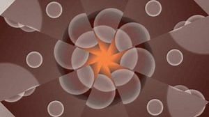 Formes de pétales translucides douces tournant : vidéo de stock (100 % libre de droit) 4003658681 | Shutterstock