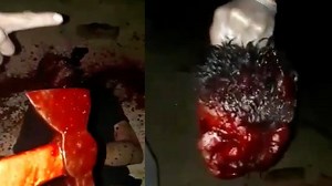 Gang member butchered, beheaded by opps in Brazil