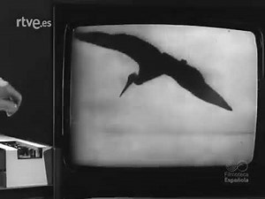 1972 Los primeros video cassette video tape recorder 1972 .