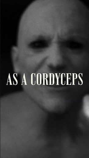 Benthos - As A Cordyceps - New single out now!