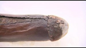 Un godemiché de 250 ans retrouvé en Pologne: "C'est une énorme surprise"