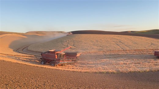 90K views · 1.4K reactions | What a gorgeous evening atop the Washington Palouse. | Webb's Slough | Facebook