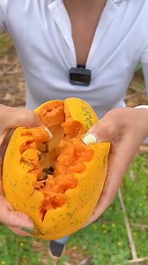 #trendingreelsvideo #harvesting #agriculture #China | Nature Garden90
