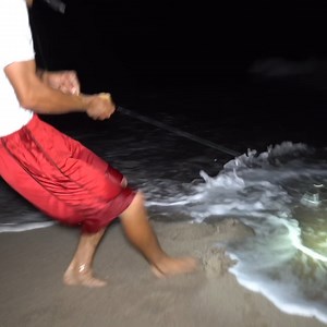 81K views · 1K reactions | Public beach loaded with hungry sharks... | Landshark Outdoors | Facebook