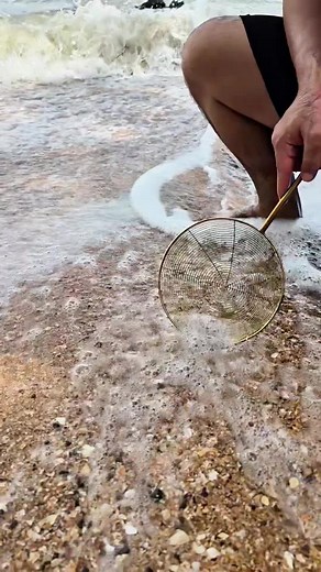 Gold Hunter Beach Discovery: Metal Detecting Treasure Hunt