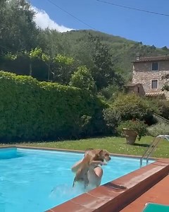 Dermot Kennedy on Reels