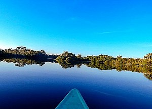 ★ Off the Beaten Track: paddling Through the Pantanal in Brazil ★  - Resetips