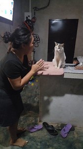 33K views · 790 reactions | Maria cantándole asu gato  Lucky  y Lucky no colabora  | India Catracha | Facebook