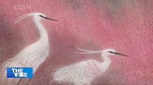 Traditional Chinese fine-line style painting, or Gongbi, is an ancient realistic painting style that involves detailed brushwork and fine lines to create highly detailed and intricate images. Inspired by the "Compendium of Materia Medica," a traditional Chinese encyclopedia of herbal medicine, painter Wan Fu has been trying her hand at painting medicinal plants using Gongbi techniques. #TheVibe #Heritage | China Plus Culture