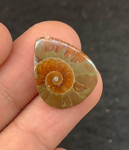 Ammonit Edelstein Glatte Birne Cabochon Hochwertiger Loser Edelstein Halbedelstein für die Schmuckherstellung WholesaleGems Popegems P8724 - Etsy.de