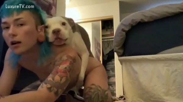 hot tattooed girl fucked by her dog