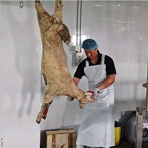 [Hot Item] Slaughter House Stainless Steel Goat Sheep Lamb Slaughtering Equipment for Abattoir Butchery Line